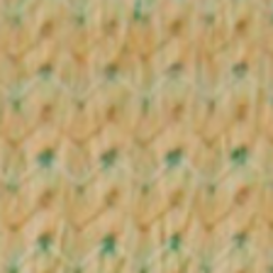 Dessert Sand