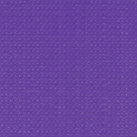 Electric Purple